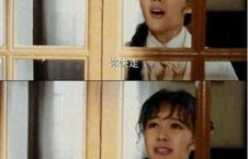 国产对白视频,本土文化的魅力与共鸣