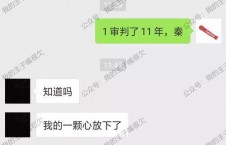 91秦先生国产,国产生态下的创新与突破