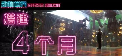 在线国产福利视频,带你领略视觉盛宴与情感共鸣  第3张