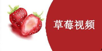 草莓视频国产,本土创新与全球视野的交融  第1张