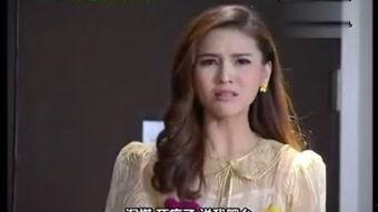 pron国产,揭秘其独特文化与社会发展历程  第3张