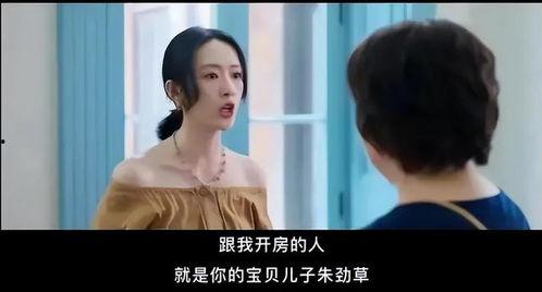 国产开房,揭秘中国住宿业的创新与变革  第2张