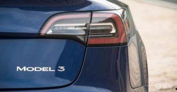 国产免,免生成技术引领未来创新浪潮  第3张